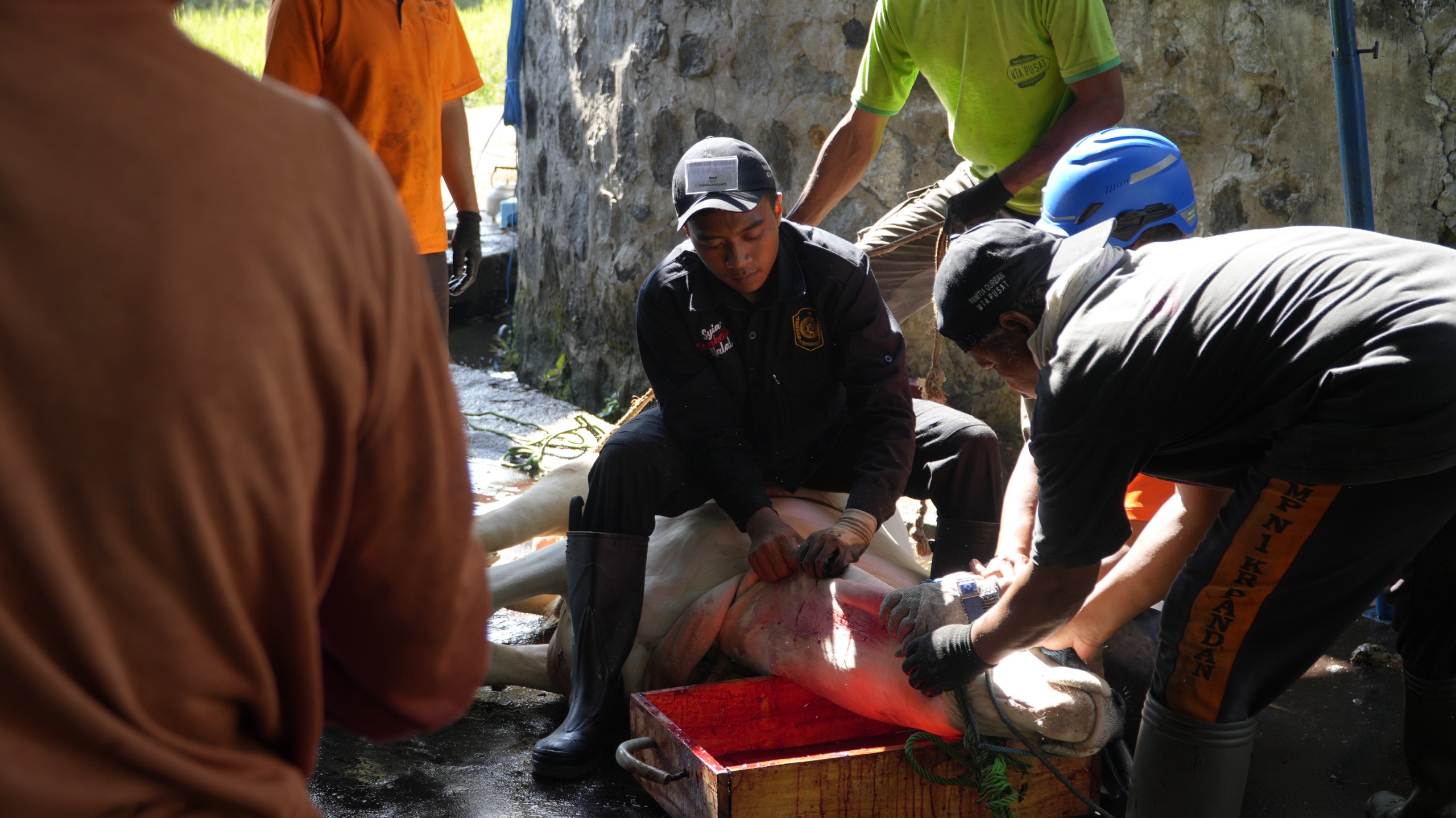 Kiprah Juleha Muda: Pemuda 25 Tahun Ambil Peran dalam Penyembelihan Hewan Kurban di Matesih Karanganyar